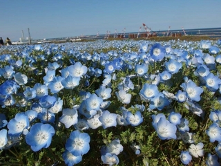 20170426181609066.jpg