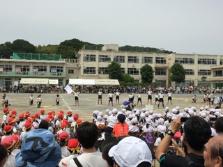 20180608074450302.jpg