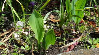 20190506075246714.jpg
