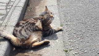 20190506075721073.jpg