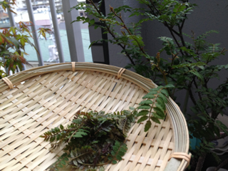 image-20140420185713.png