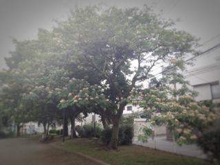 image-20150616075135.png